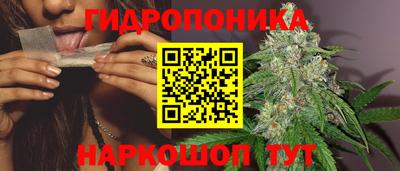 прущие грибы Заводоуковск
