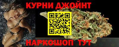 шишки Заволжье