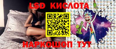 шишки Заволжье