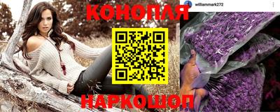 прущие грибы Заводоуковск