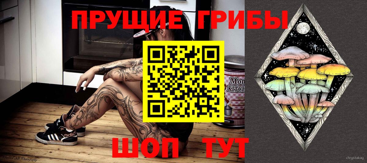 Псилоцибиновые грибы Psilocybe  Псилоцибиновые грибы мухоморы  Вход с VPN  купить  сайты  Михайловка 