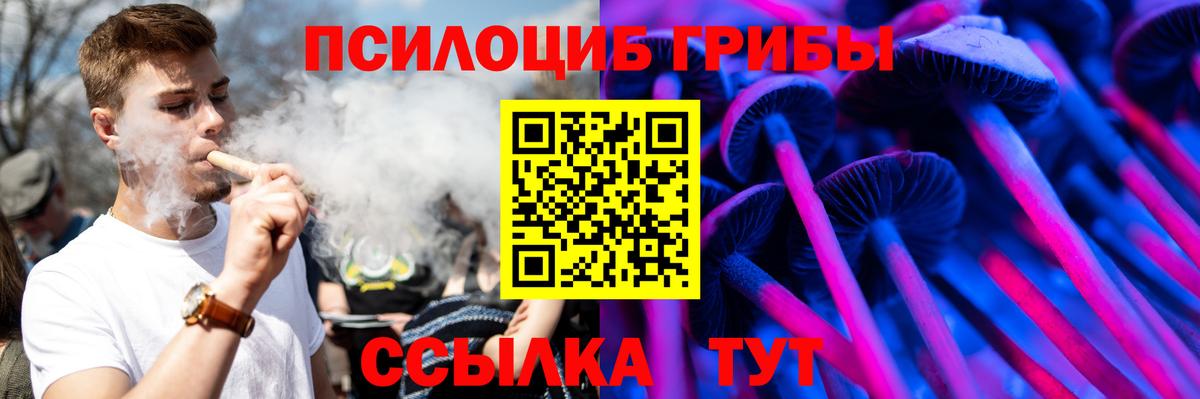 Галлюциногенные грибы Cubensis Михайловка